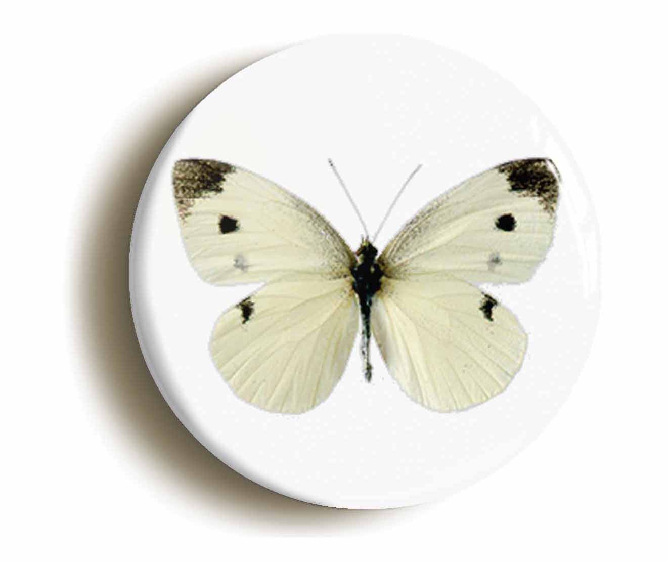 A picture of the front of the product, titled Cabbage White Butterfly Circular 50mm Fridge Magnet