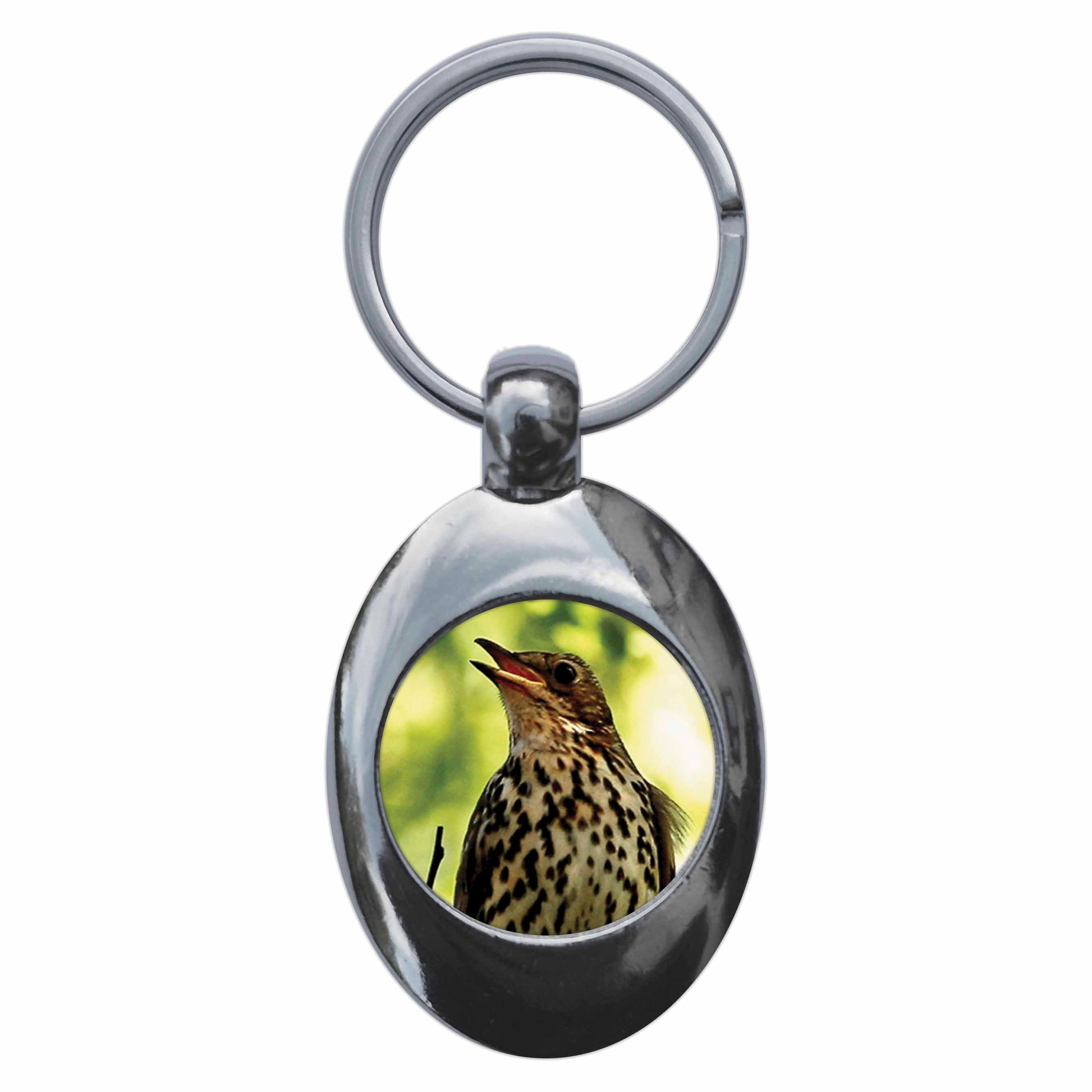 A picture of the front of the product, titled Song Thrush Metal Keyring With Trolley Coin
