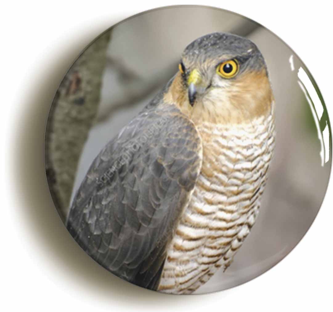 A picture of a button badge