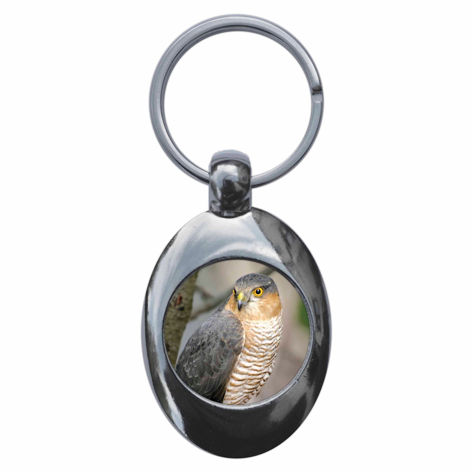 A picture of the front of the product, titled Sparrow Hawk Metal Keyring With Trolley Coin