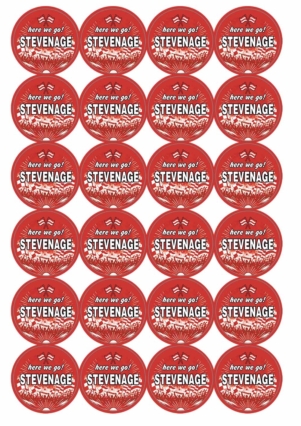 A picture of an A4 sheet of matte paper stickers