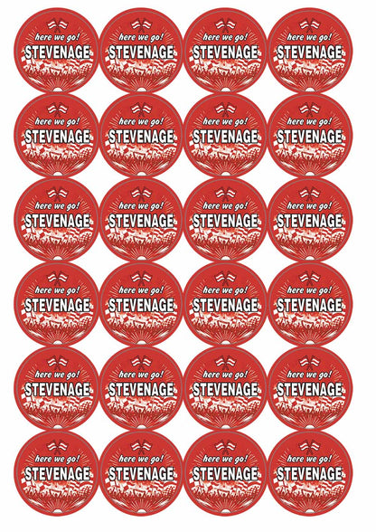A picture of an A4 sheet of matte paper stickers