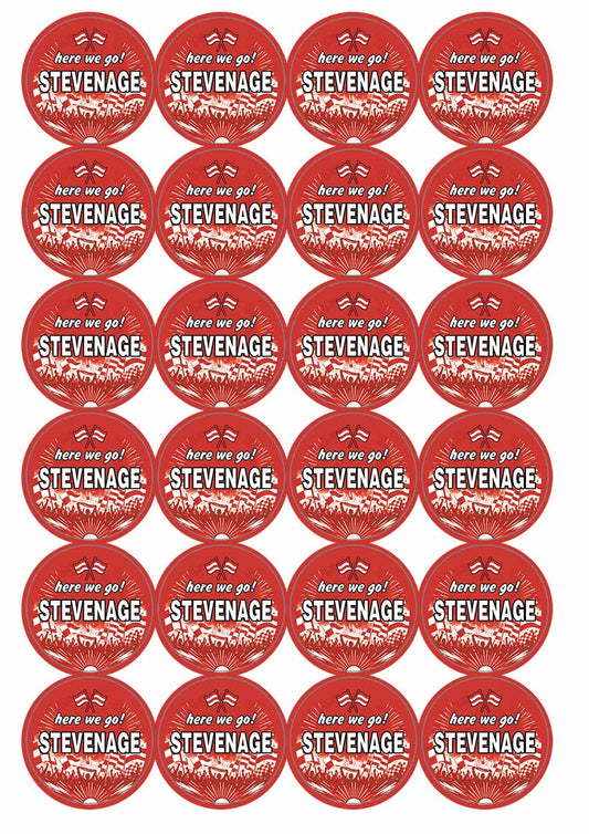 A picture of an A4 sheet of matte paper stickers