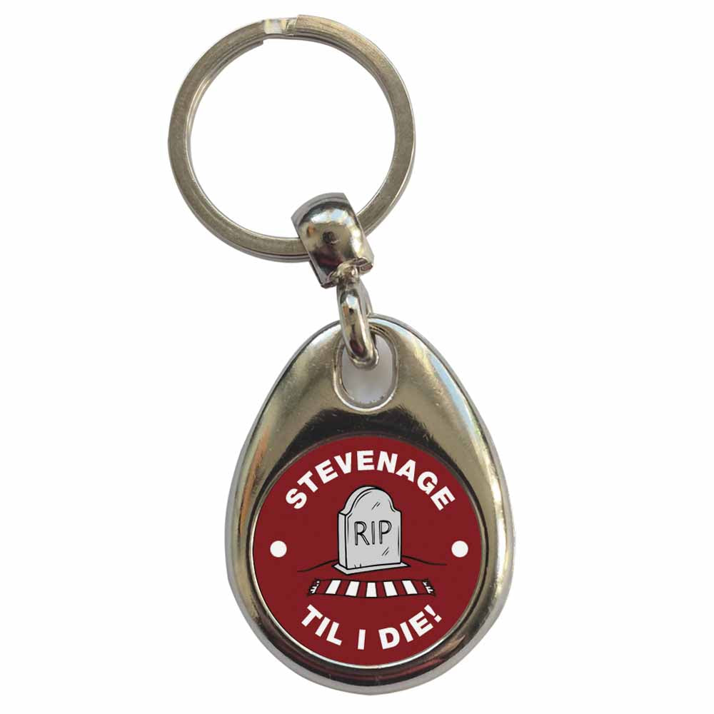 An image of a plain metal keyring