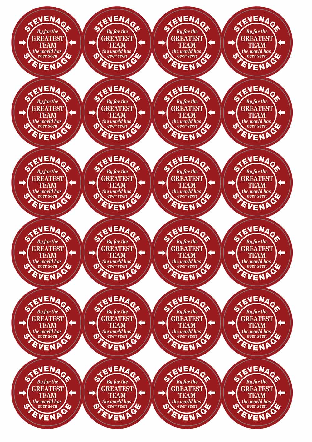 A picture of an A4 sheet of matte paper stickers