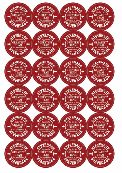 A picture of an A4 sheet of matte paper stickers