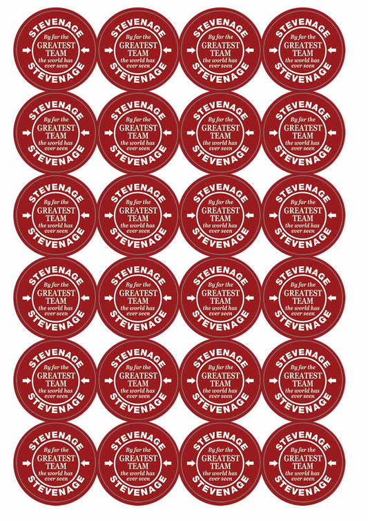 A picture of an A4 sheet of matte paper stickers