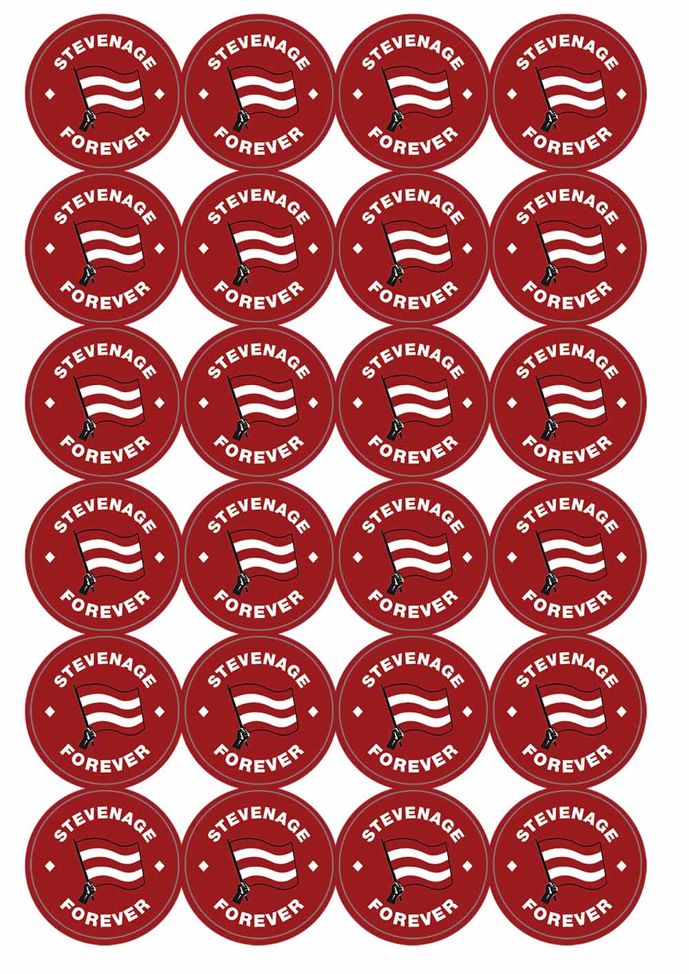 A picture of an A4 sheet of matte paper stickers