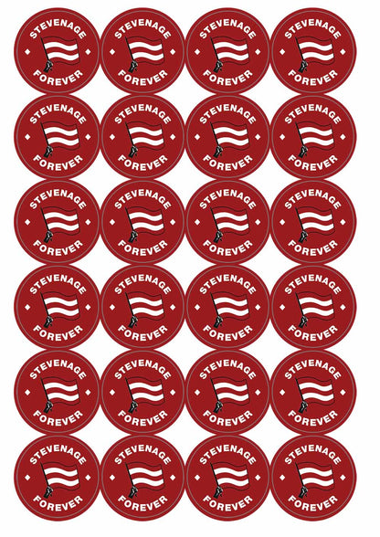 A picture of an A4 sheet of matte paper stickers