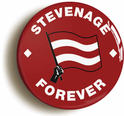 A picture of a button badge