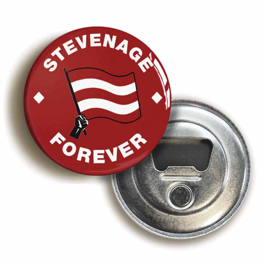 A picture of a bottle opener fridge magnet