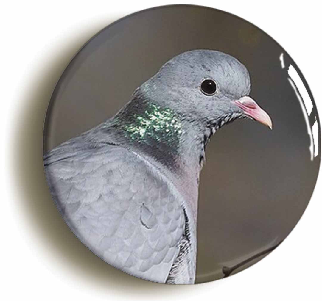 A picture of a fridge magnet