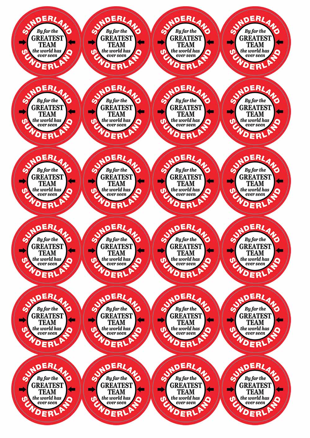 A picture of an A4 sheet of matte paper stickers