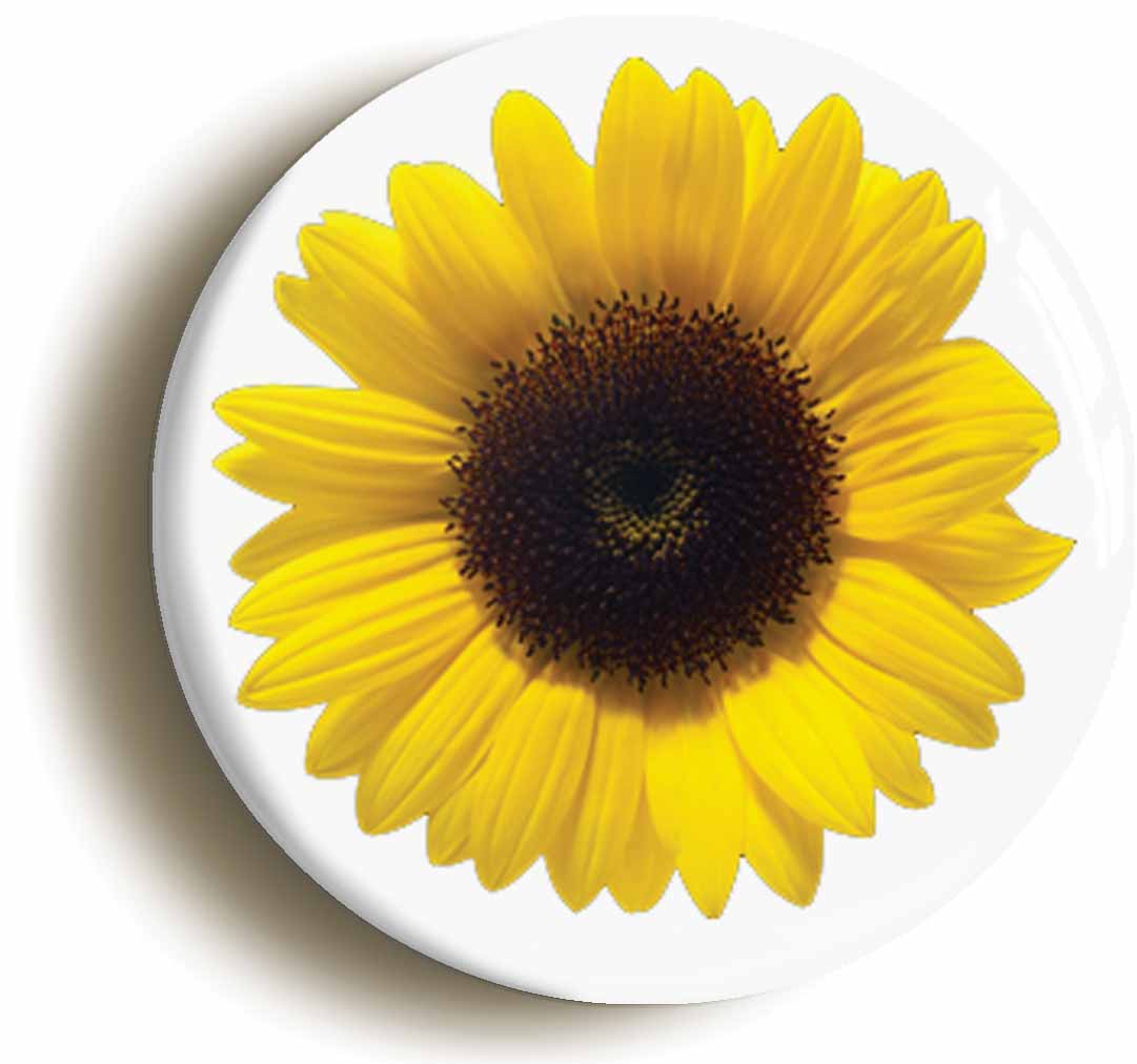 A picture of the front of the product, titled Sunflower Button Pin Badge