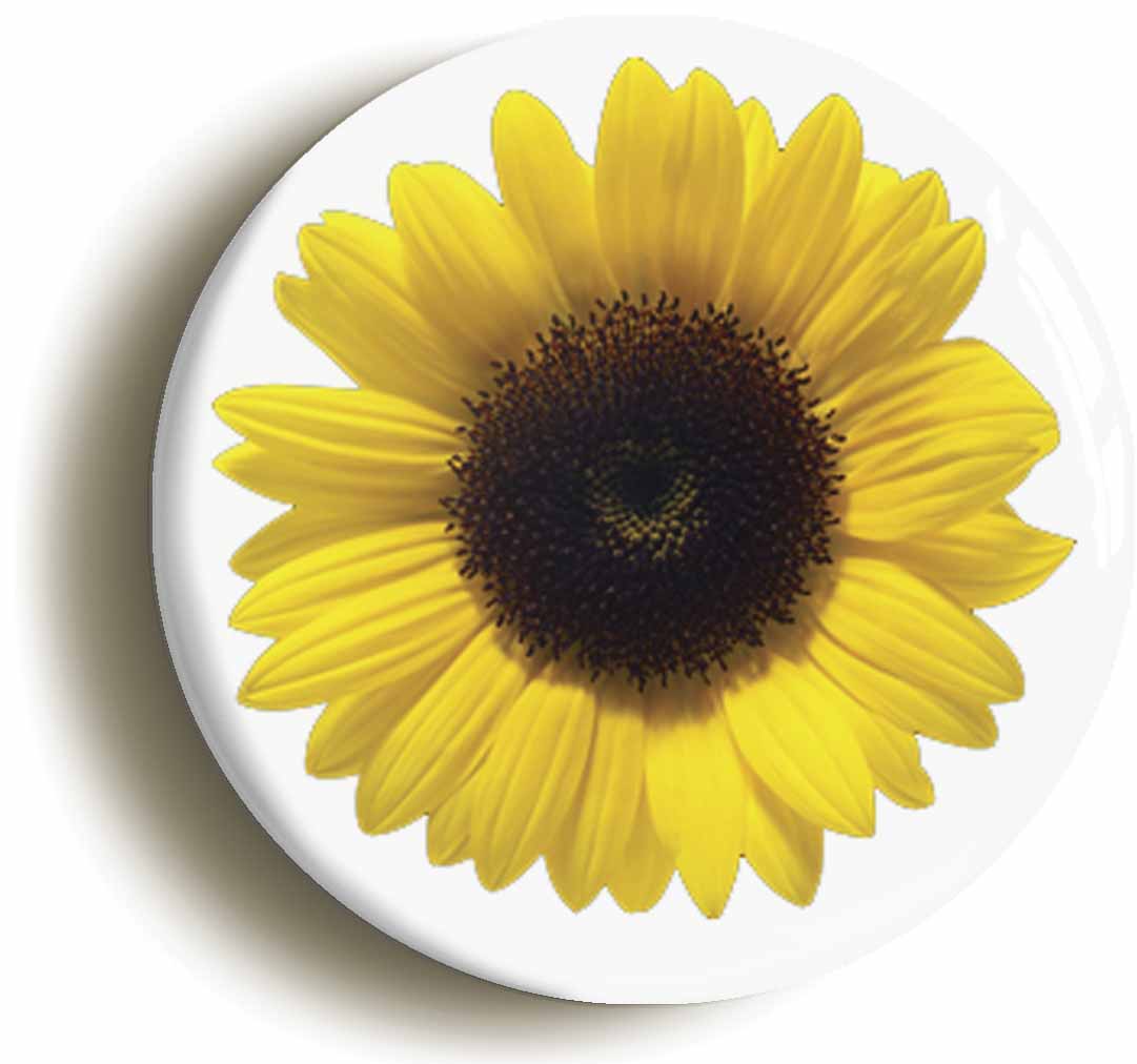 A picture of a button badge
