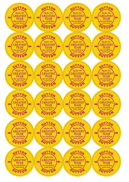 A picture of an A4 sheet of matte paper stickers