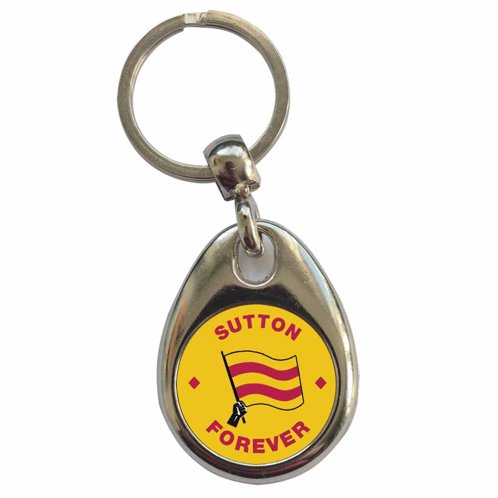 An image of a plain metal keyring