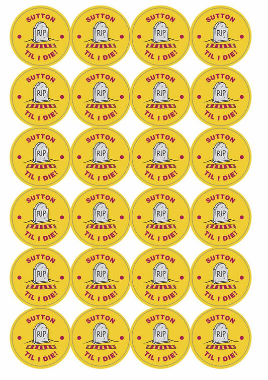 A picture of an A4 sheet of matte paper stickers