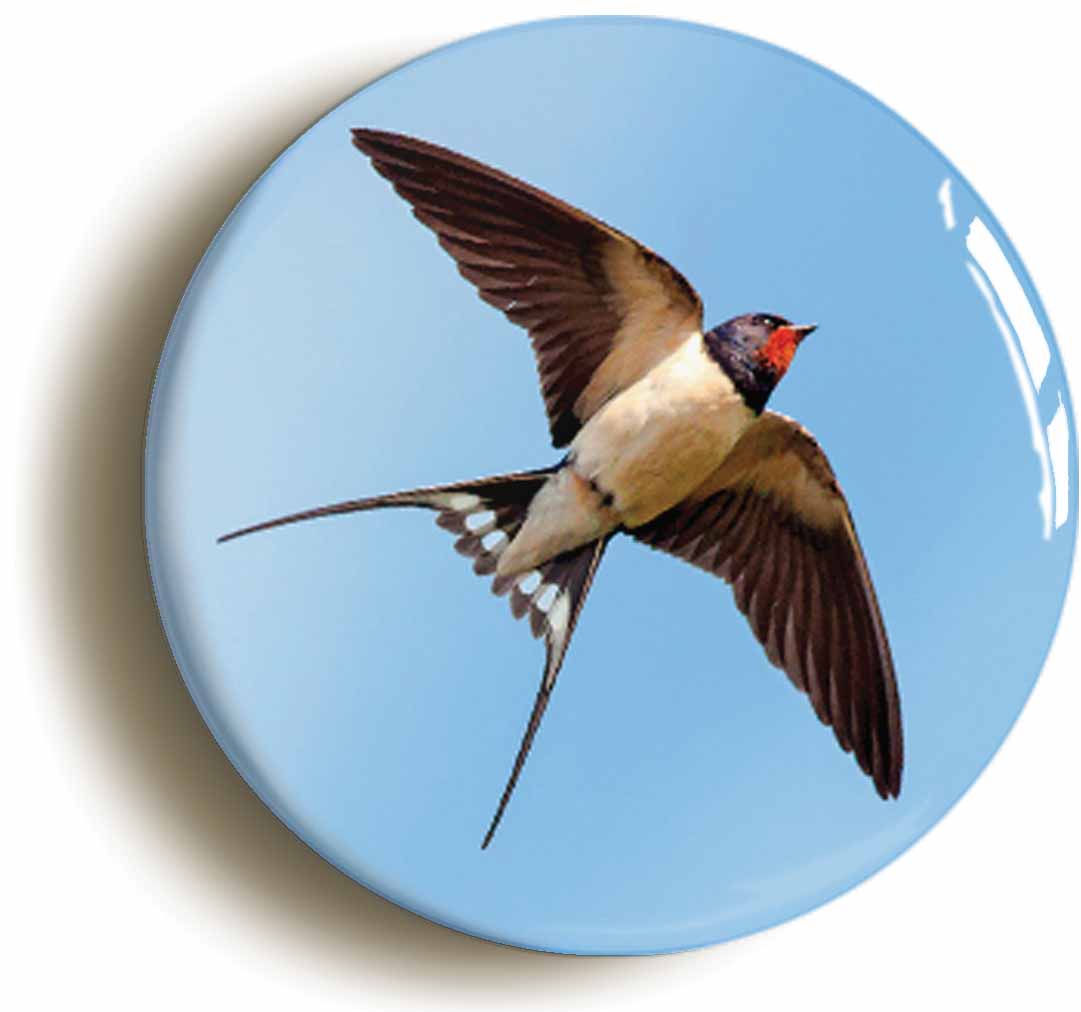 A picture of the front of the product, titled Swallow Button Pin Badge