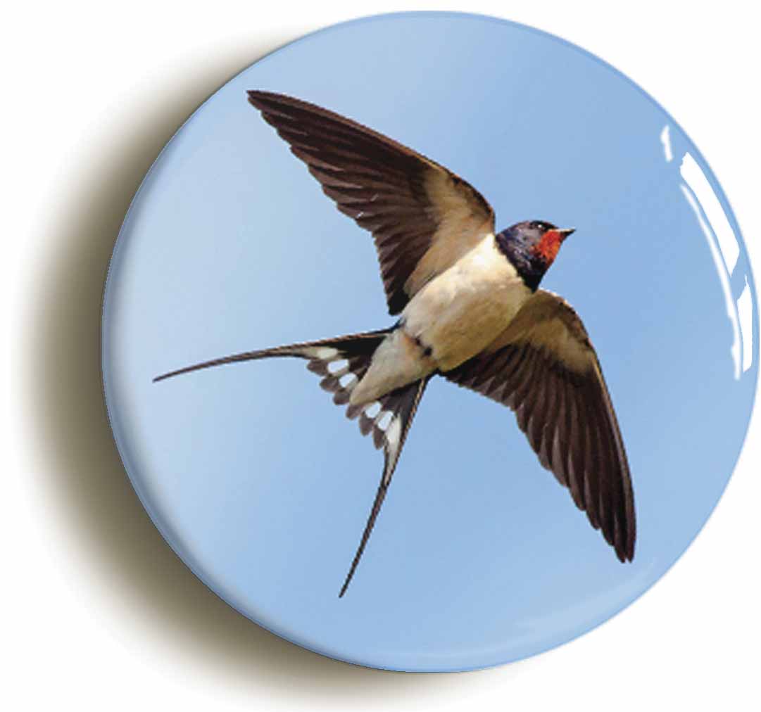 A picture of a button badge