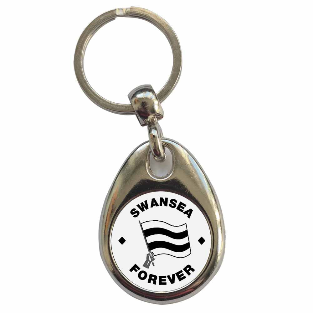 An image of a plain metal keyring