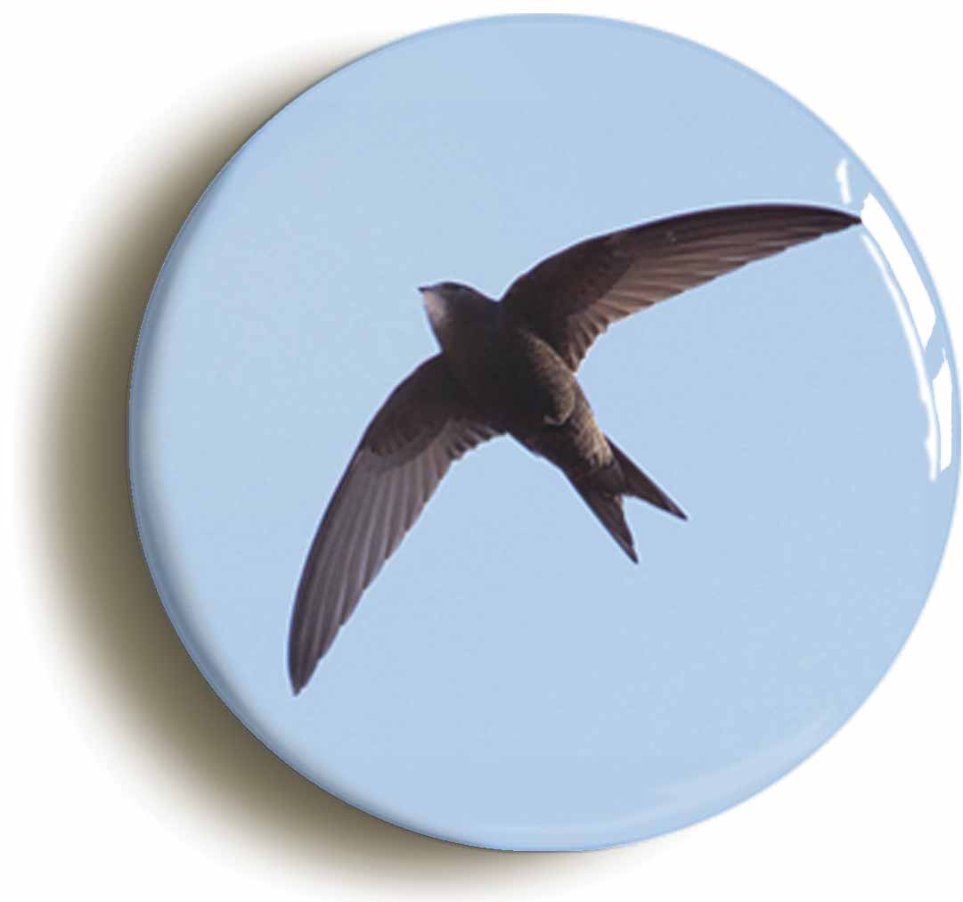 A picture of a fridge magnet