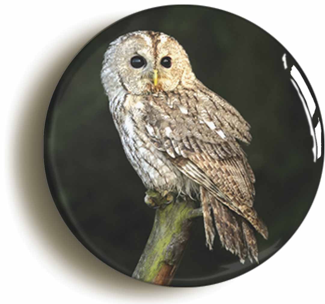 A picture of a button badge