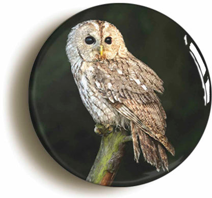 A picture of a button badge