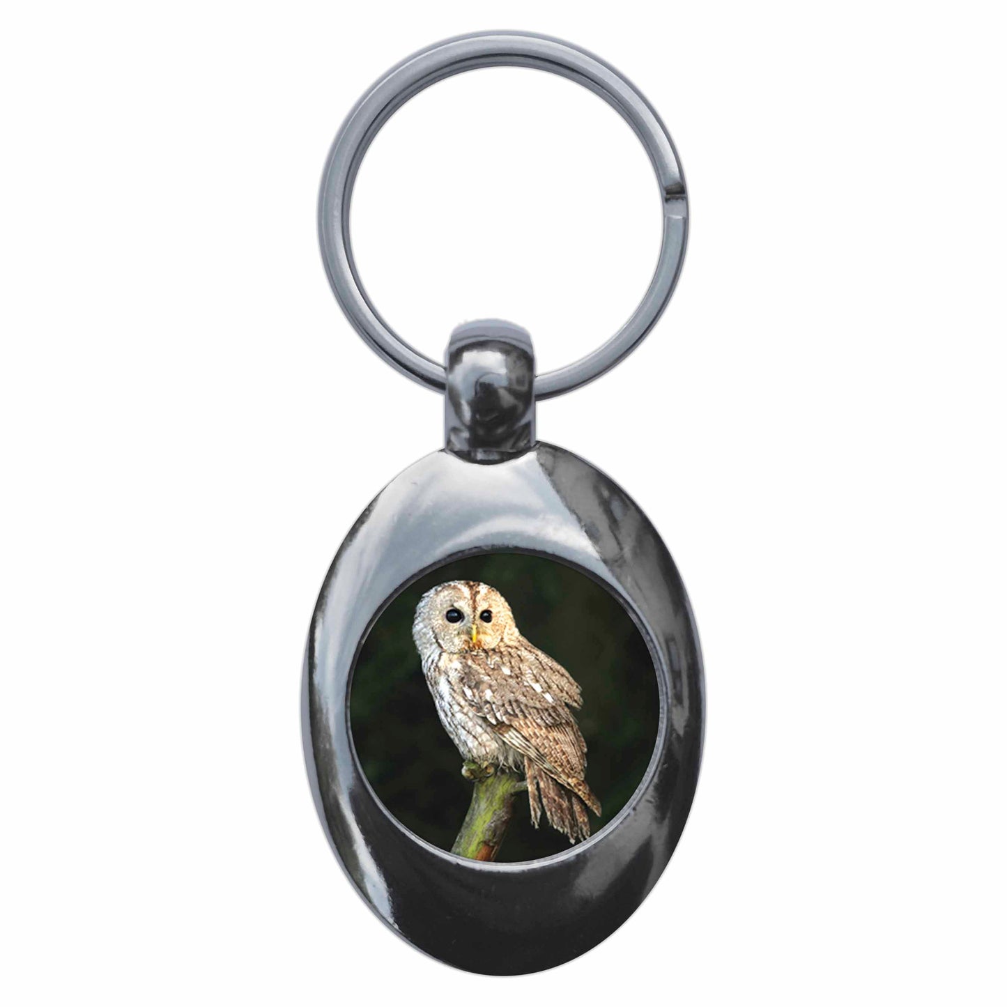 A picture of the front of the product, titled Tawny Owl Metal Keyring With Trolley Coin