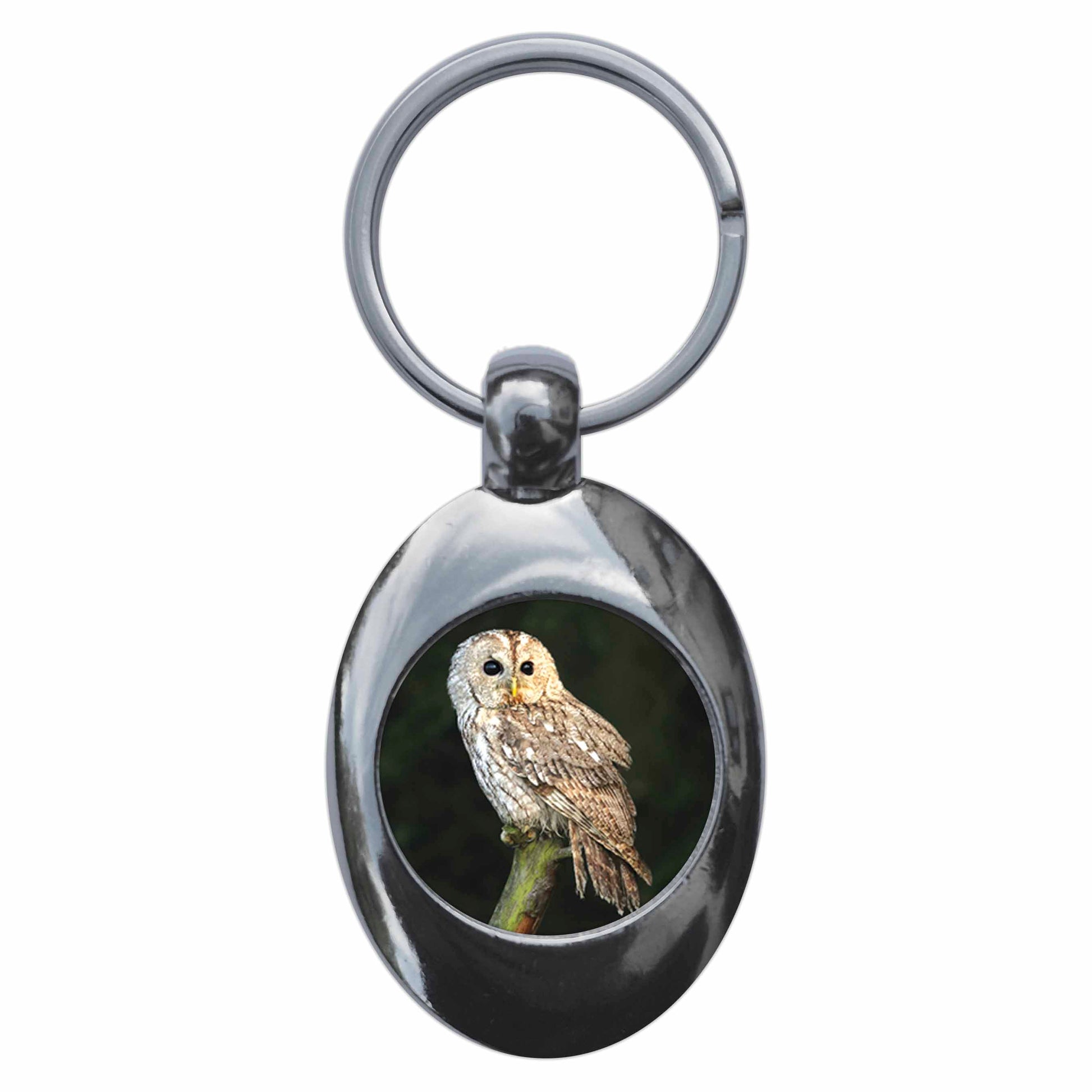 A picture of the front of the product, titled Tawny Owl Metal Keyring With Trolley Coin