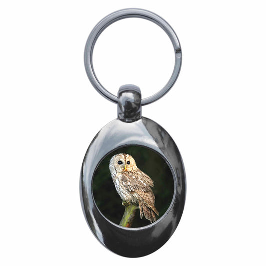 A picture of the front of the product, titled Tawny Owl Metal Keyring With Trolley Coin