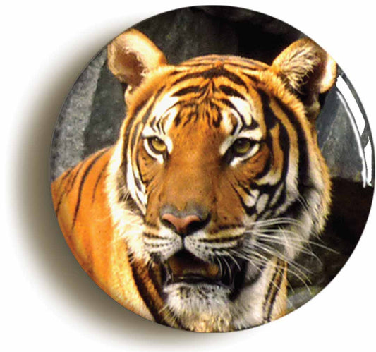 A picture of a fridge magnet