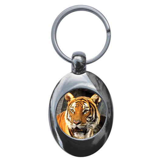 A picture of the front of the product, titled Tiger Metal Keyring With Trolley Coin