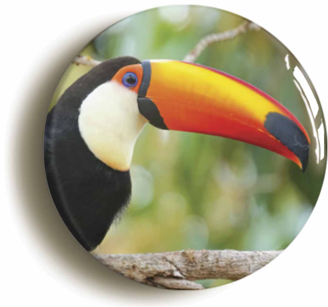 A picture of a button badge