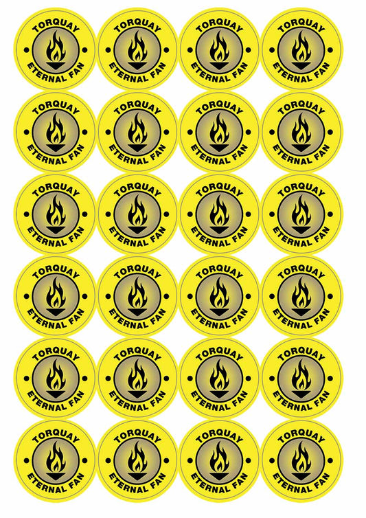 A picture of an A4 sheet of matte paper stickers