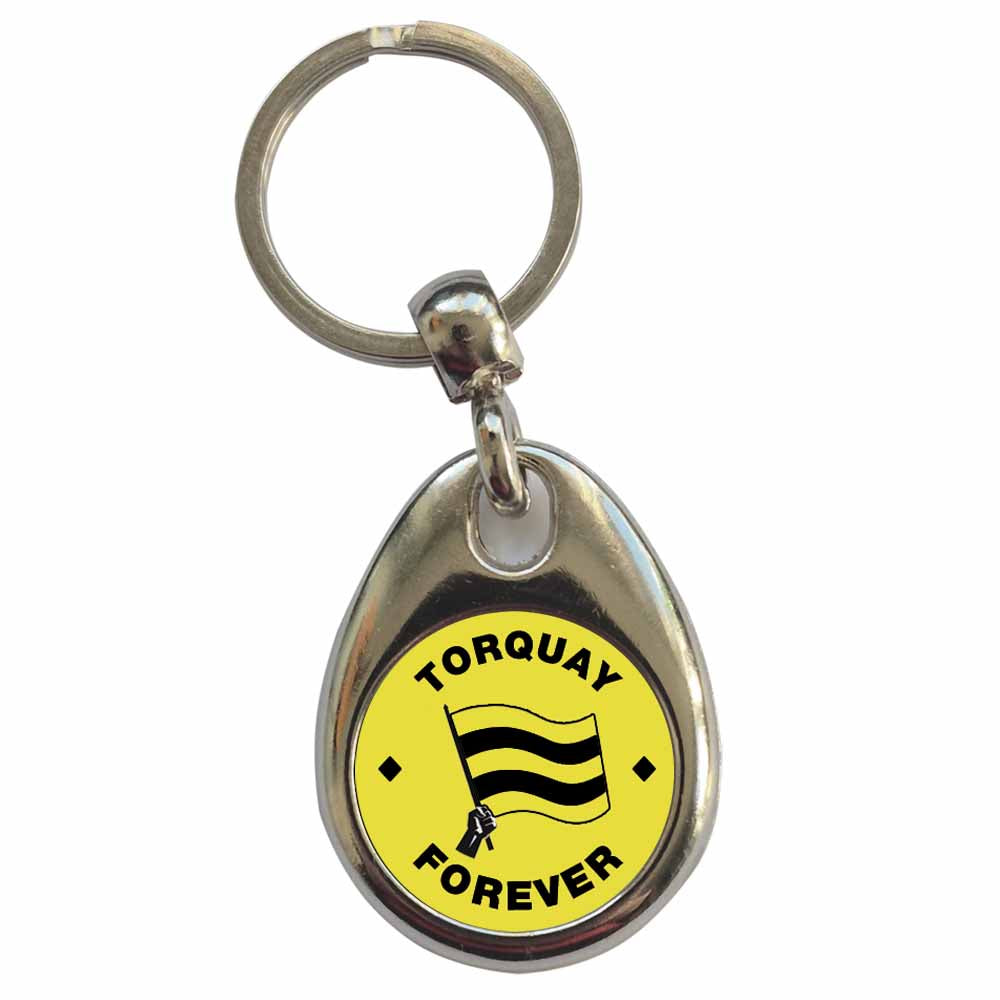 An image of a plain metal keyring