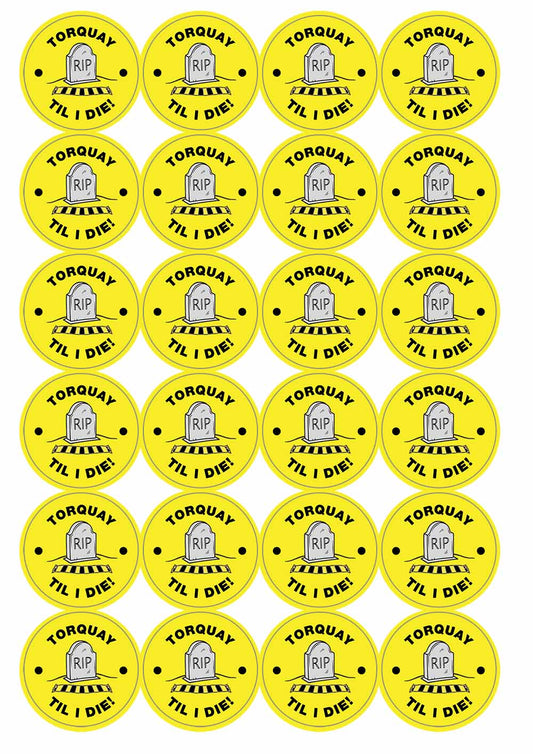 A picture of an A4 sheet of matte paper stickers
