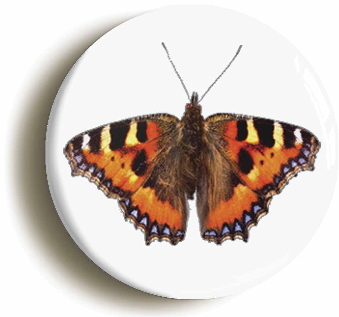 A picture of a fridge magnet