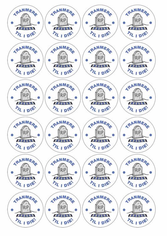 A picture of an A4 sheet of matte paper stickers