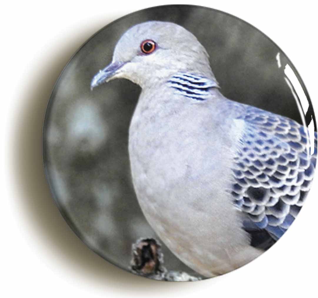 A picture of a fridge magnet