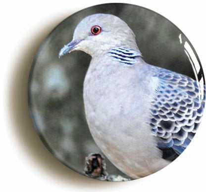 A picture of a button badge