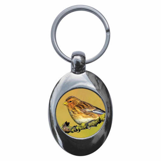 An image of a keyring