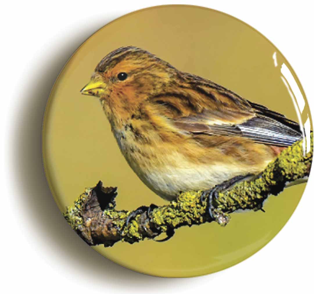 A picture of a fridge magnet
