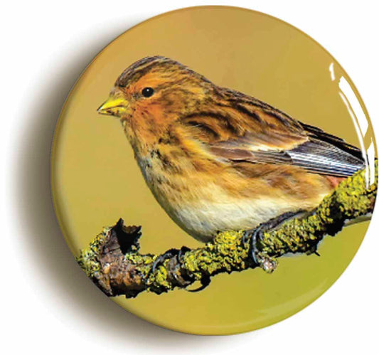 A picture of a fridge magnet