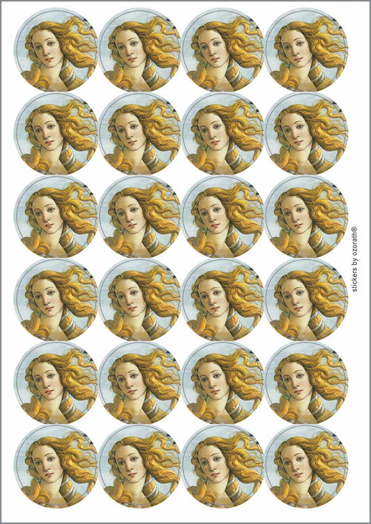 A picture of an A4 sheet of matte paper stickers
