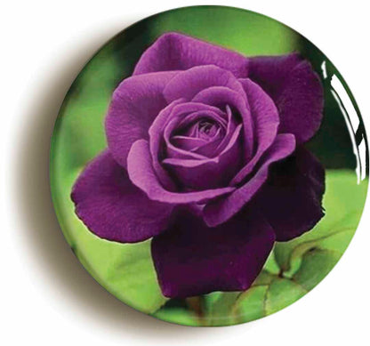 A picture of a button badge