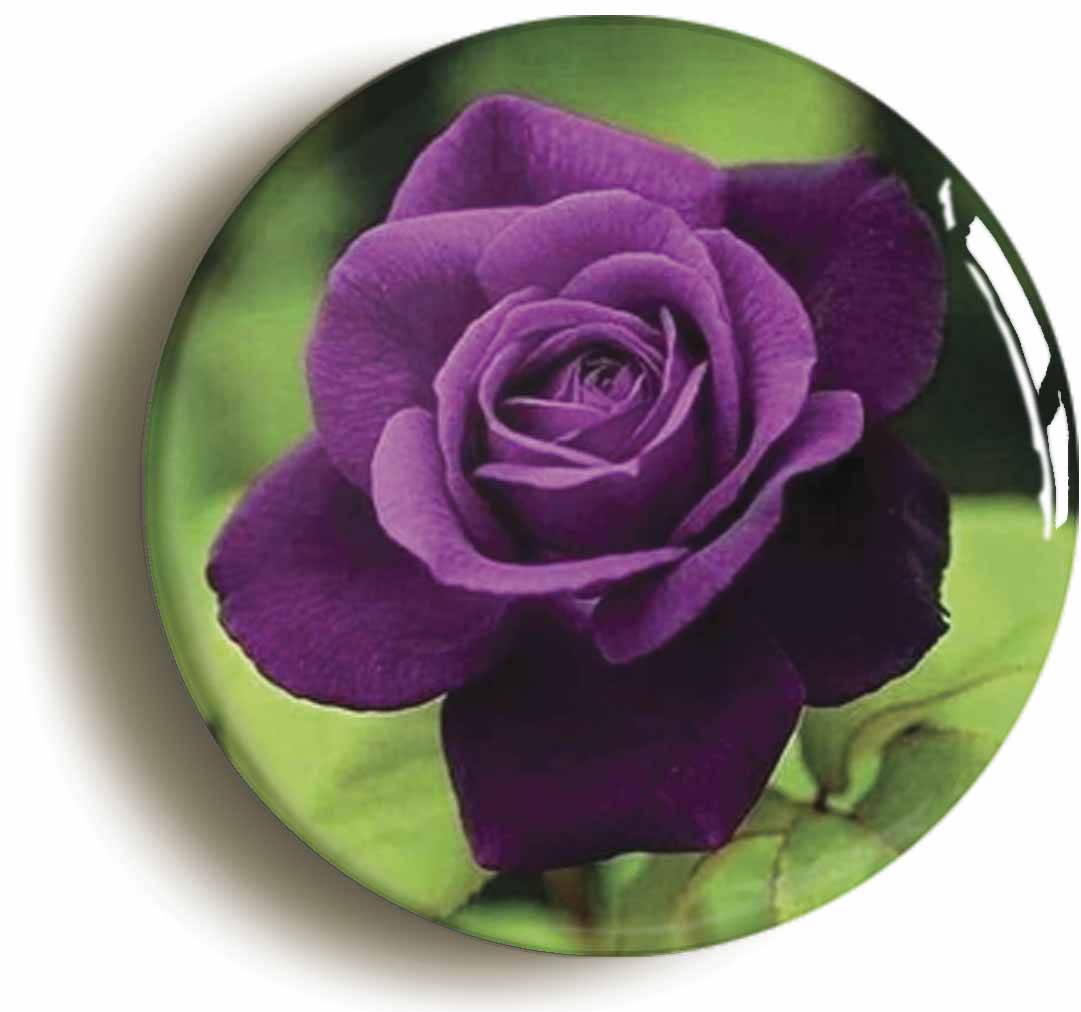 A picture of a fridge magnet