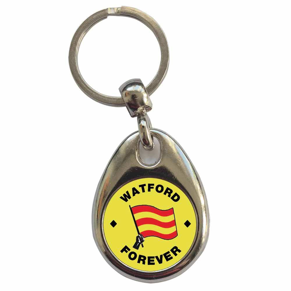 An image of a plain metal keyring