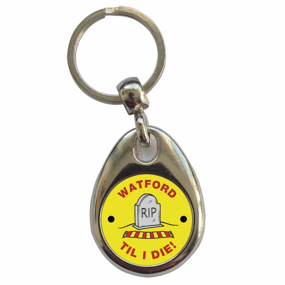 An image of a plain metal keyring