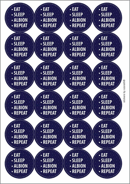 A picture of an A4 sheet of matte paper stickers
